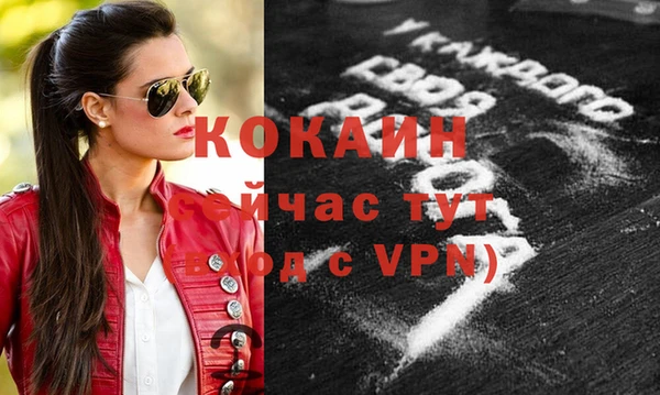 стафф Пересвет