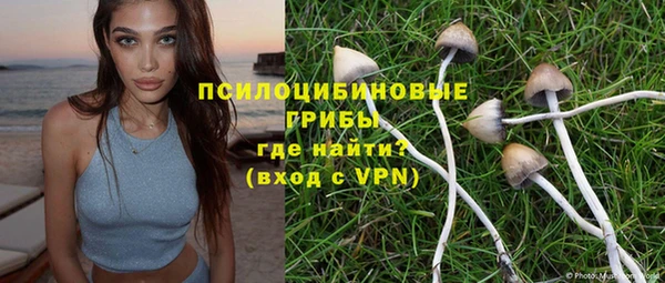 ECSTASY Остров