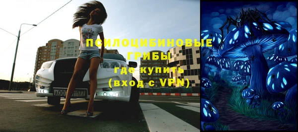 твердый Грязовец