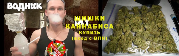 твердый Грязовец