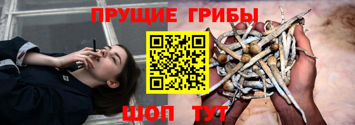 Alpha PVP Североморск