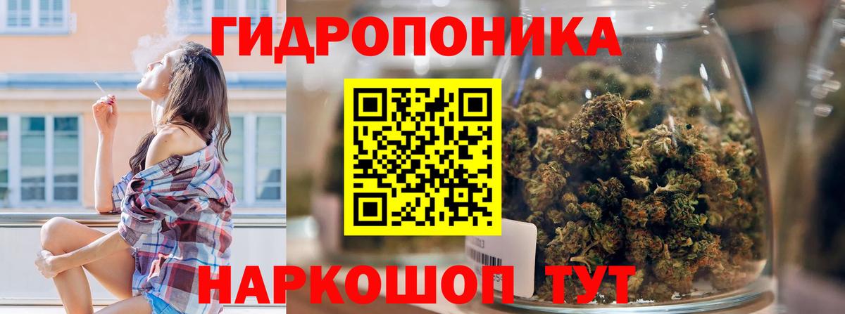Каннабис OG Kush Североморск